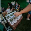 NC - Šancefest - foto
