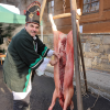 Mostořská zabijačka 2023 - program - foto