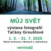 Knihovna - Výstava Taťány Groušlové